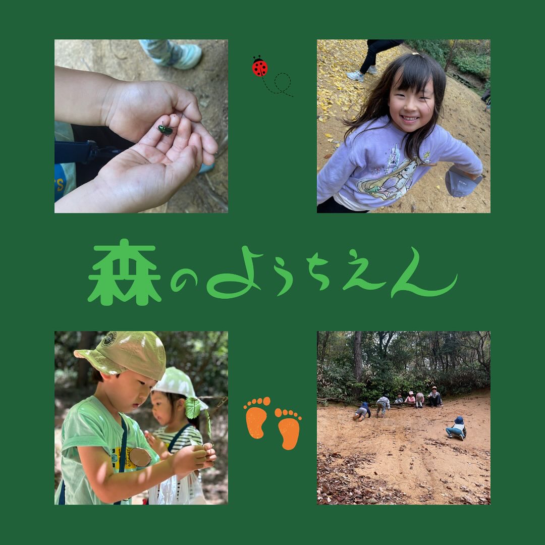 6月14日(土) 『森のようちえん』